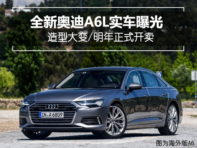WA62019WA6L