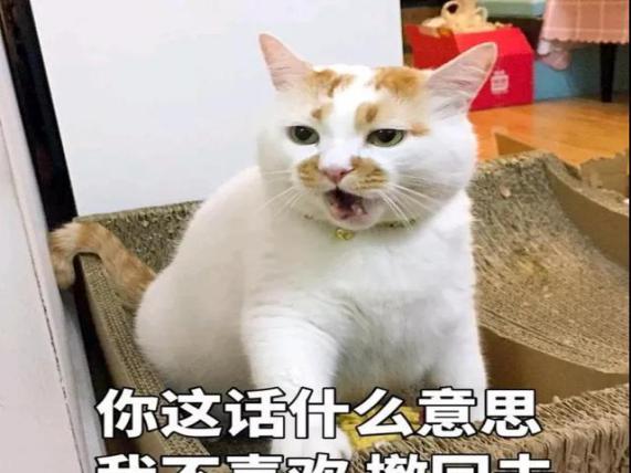 圖片3.jpg
