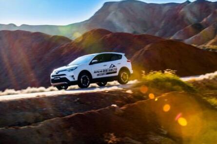RAV4s