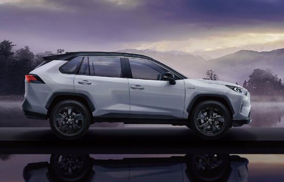RAV4s
