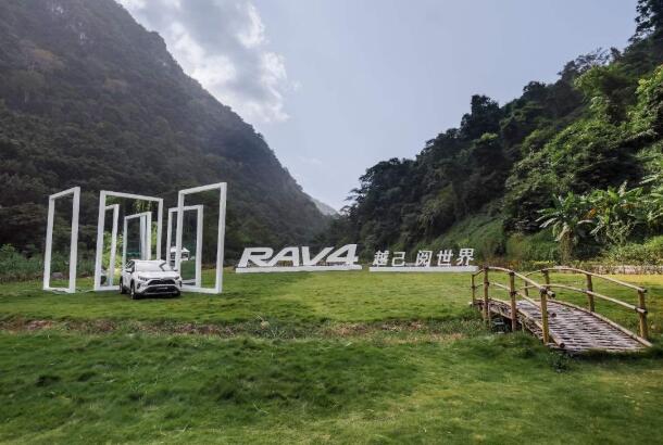 RAV4s